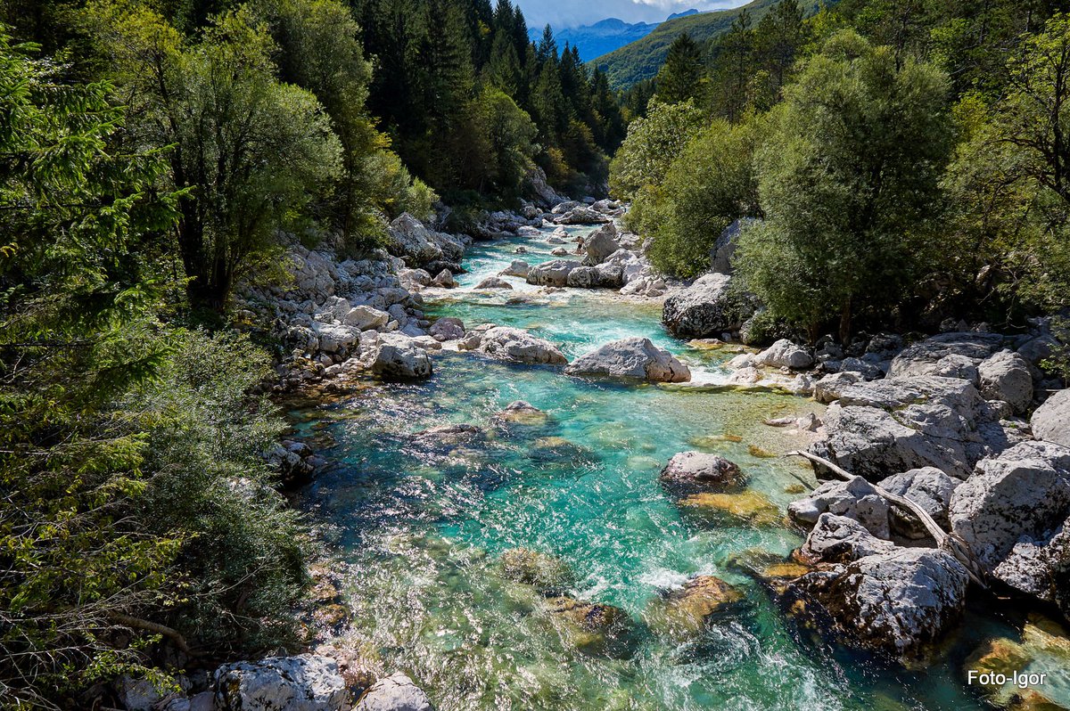 igor_gamsa's tweet photo. #photography #photooftheday #nature #riwer #soča #slovenia https://t.co/6MTLHvcPp0