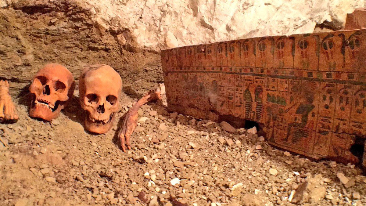 luxortimes's tweet photo. Exclusive video:Amazing new discovery by Egyptian archaeologists in Luxor #Egypt #Egyptology #Archaeology https://t.co/V3jsSbsCvV https://t.co/x1mcabyylQ