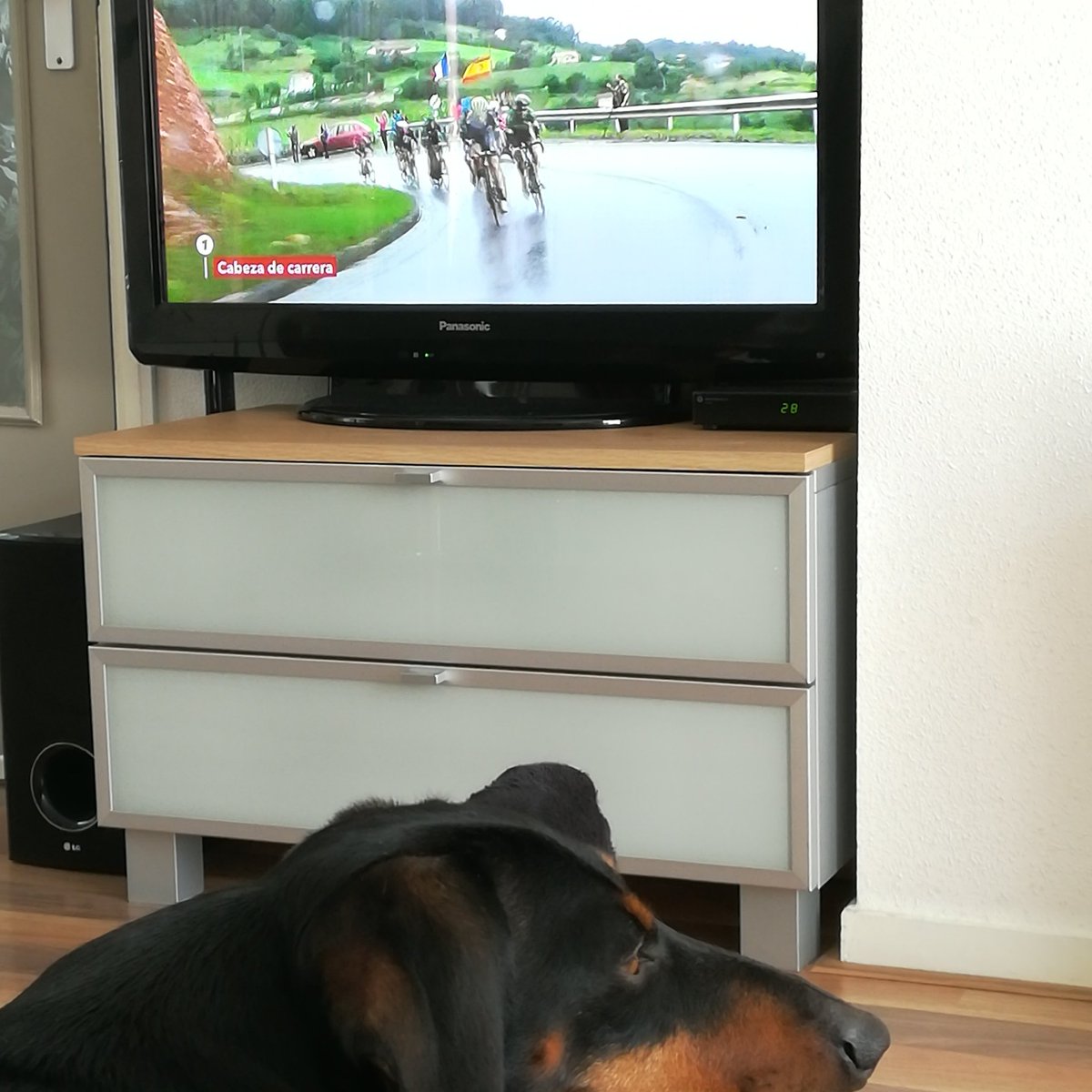 albertschipper's tweet photo. Go Kelderman .. 
#vuelta2017 #vuelta https://t.co/2qBRmfDTH8