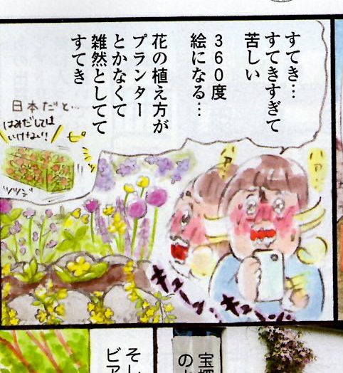 湖水地方で見かけた花。 