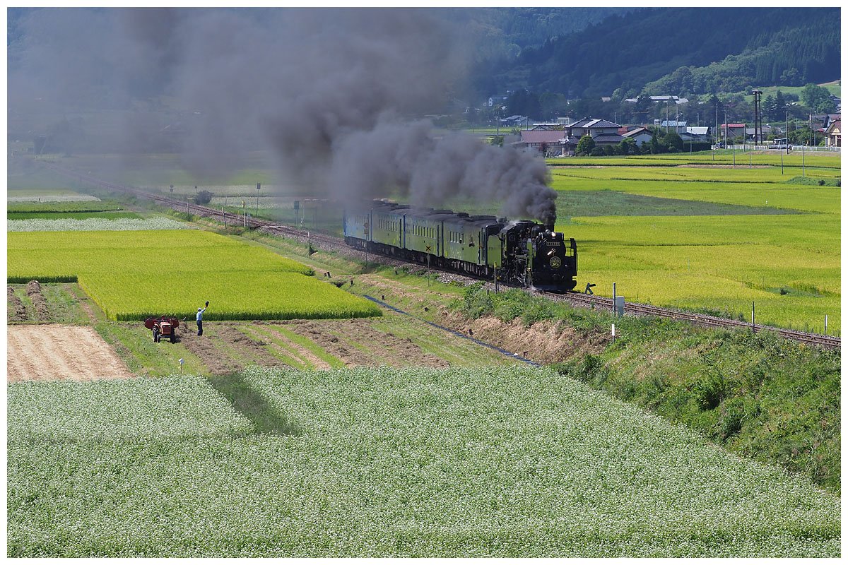 Kaede9633's tweet photo. 遠野秋日和。
9/9 綾織〜遠野 E-M1mk2 ED40-150mm PRO
#SL銀河 #C58239 #釜石線 https://t.co/9qFrGftyvb