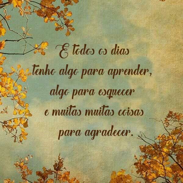 Só tenho a agradecer vcs pela ajuda, muito obrigado 
#BetaQuerLab 
#CafeComEli