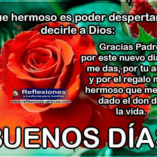 Patricia Nunez Buenos Dias Mi Gente Bella Feliz Sabado Bendiciones Patricia Nunez Buenos Dias Mi Gente Bella Feliz Sabado Bendiciones