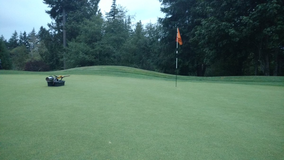 First round set up for the 2017 Ladies Malaspina underway. Windy with rain expected. Course will play tough. Needle tine aeration next week