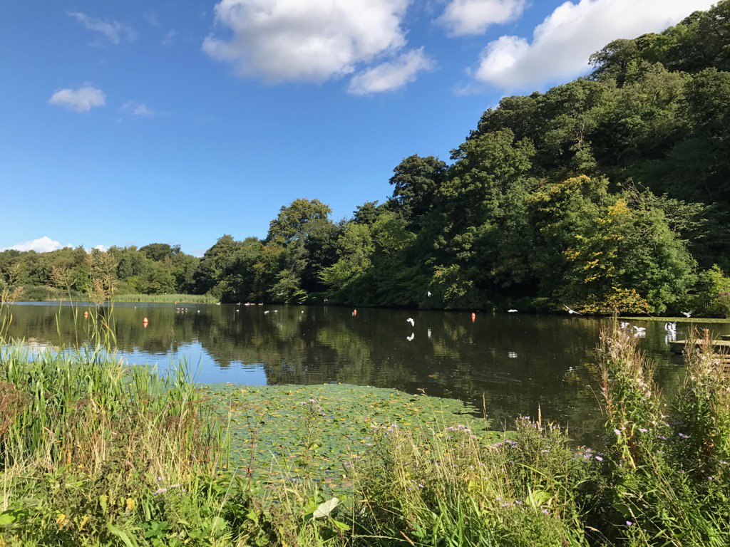 gwen_zen's tweet photo. Could be worse places waiting for my dancing daughter #mindfulness #momentoftranquility #seizethemoment https://t.co/C8CQItDdky