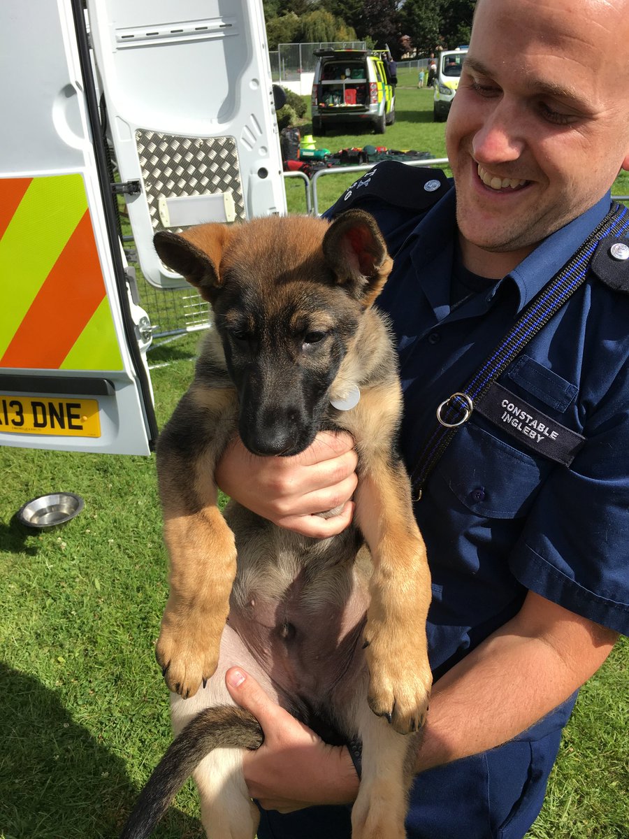 Great to have @mpstaskforce with us. No surprise that Chase on the right is stealing the show! 12 week old bundle of fun. Come and meet him