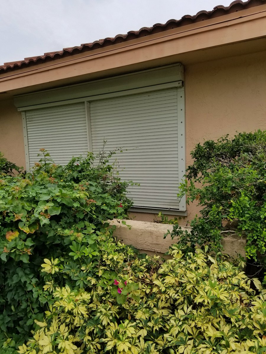 Exterior decorating for Irma. Supplied with Cheetos, tuna and wine courtesy of my son. Hope everyone is prepared; this one surprising.