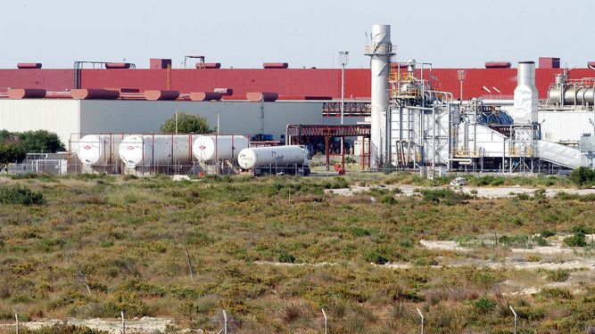 DelphiCadiz tweet media