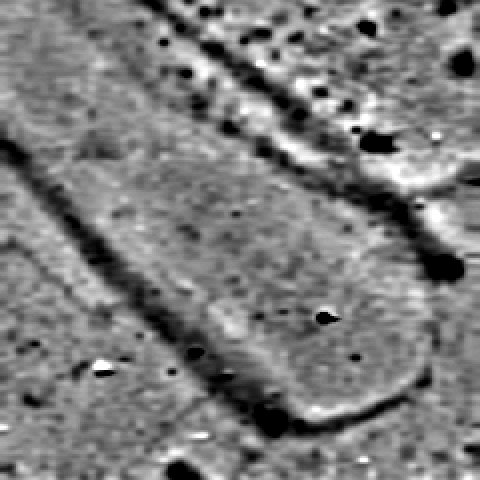 AvonValleyArch's tweet photo. Not a bad morning's work with the @LoCATE_Survey gradiometer.  Poss long barrow + Iron Age / R-B enclosure. 60x60m @Katewelham @pcheetham54 https://t.co/Xyad1KcGOF