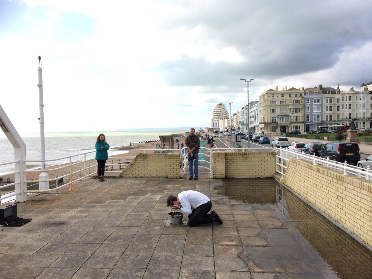 greigburgoyne's tweet photo. If you missed the mesmerising performance by #mattMPage @CoastalCurrents today catch his work in the window pf #cashgenerators #queensRd https://t.co/rRdbjbcYze