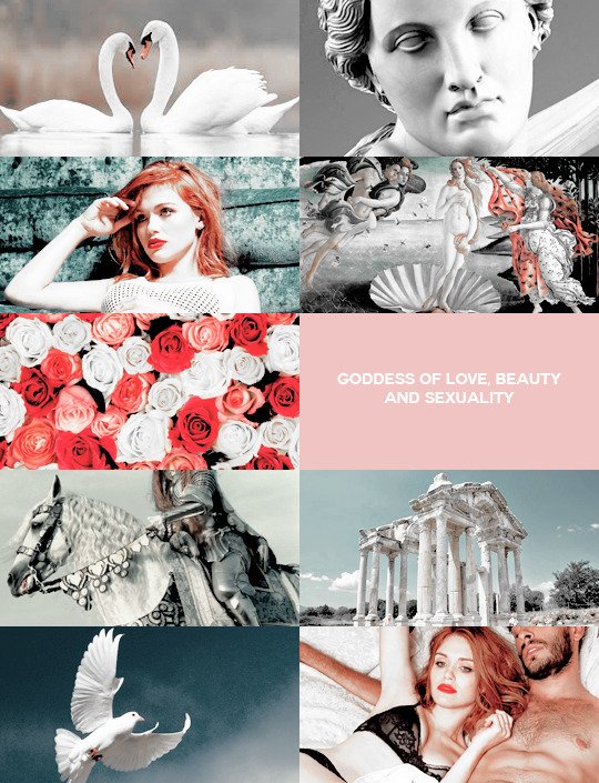 Ariel [Diana] Monroe tweet media