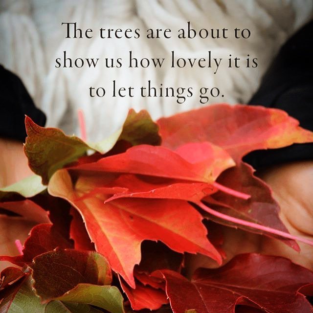 donelleu's tweet photo. #fall #letgo #changeishardbutgood https://t.co/ptXNSTCCf0 https://t.co/F7pF41mnJe