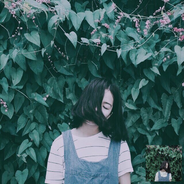 trhcnp's tweet photo. เขียวละมุนๆ ย้อมเงาสีเขียว 🌳🌲🌵 #vscocam #แอพแต่งรูป #สอนแต่งรูป https://t.co/dqYSgCSuCd