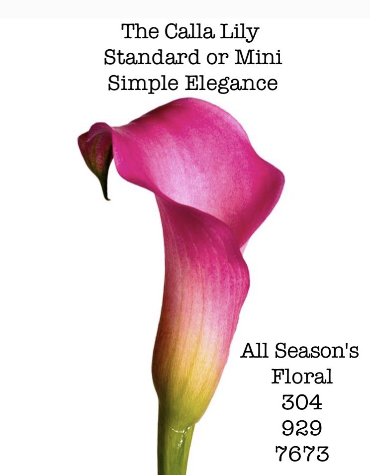 Allseasonswv's tweet photo. Open until 1.  Stop by and see us or order online https://t.co/5q1vF5J5pm

#wvbusiness #shopsmallwv #beckley #wv https://t.co/anNwOV3SMI