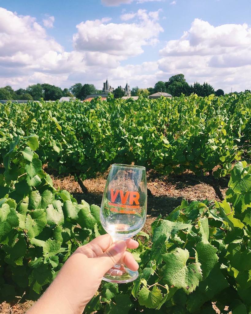 augoutdemma's tweet photo. Vignes Vins Randos: une semaine déjà ! Et le beau temps me manque déjà ! 🍷 #vvr17 #loirelovers #vin #rando #vignob… https://t.co/usNE5Xr9ta https://t.co/9ZgEdLZP1t