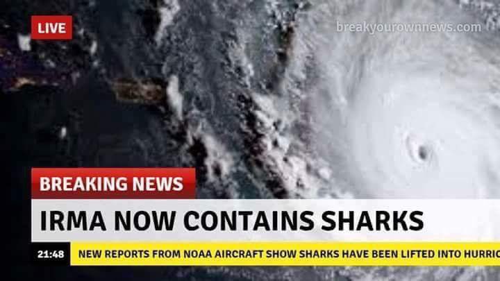 BeWarmers's tweet photo. In other news, a Sharknado is now a thing... https://t.co/uJ59FzQAOZ