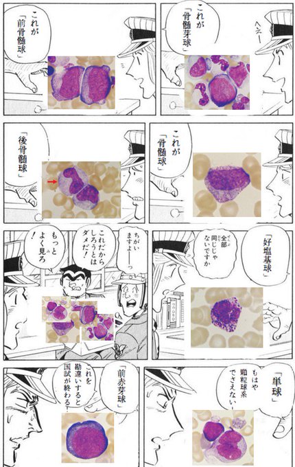 全部同じじゃないですかクソコラグランプリ を含むマンガ一覧 いいね順 ツイコミ 仮