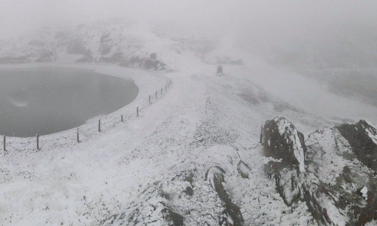 alpedhuez's tweet photo. 🔴 La neige tombe à l'@alpedhuez ! https://t.co/PqGaTPsZUk