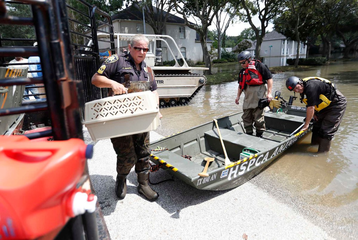 genYcommunity's tweet photo. Charity Navigator touts nonprofits in wake of Hurricane Harvey 
https://t.co/7ehnCQlFLt https://t.co/5HWPY3LYgV