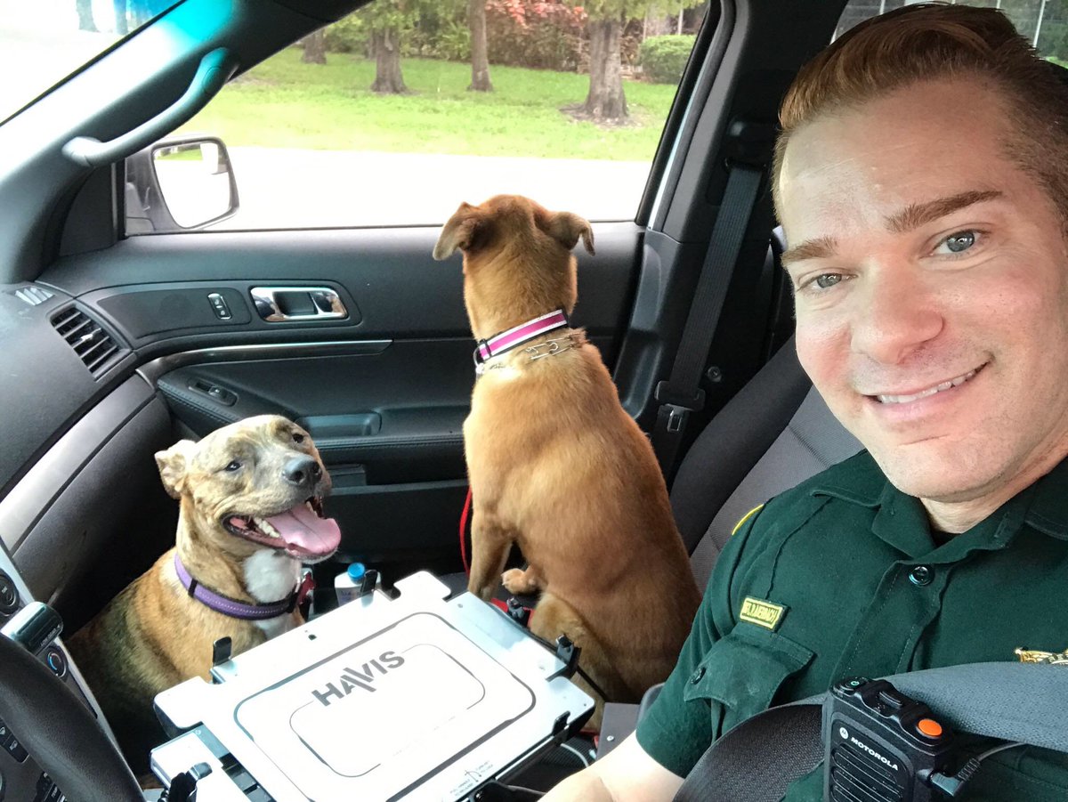 browardsheriff's tweet photo. Deputy Auerbach from our Dania Beach district is making sure these  four-legged friends have a safe place to ride out the storm. 🐶🐕🐕 https://t.co/F6Zld4F32G