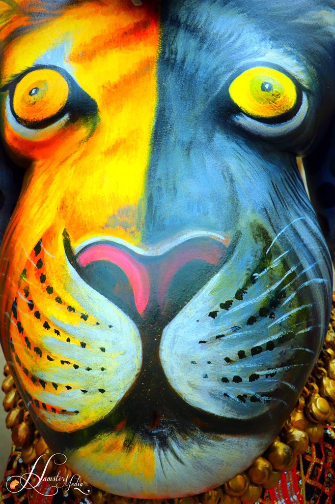 rxswift's tweet image. #Hamstermedia #pulikali #2017 #onam #kerala#tradition #folk #art #GodsOwnCountry