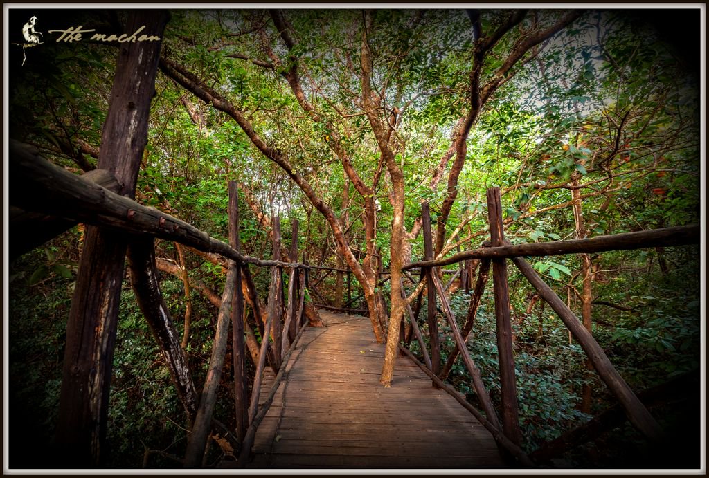 TheMachan's tweet photo. Let the #FloralPathways lead you to your #DreamDestination Getaway at TheMachan https://t.co/w4MSUmPxj7