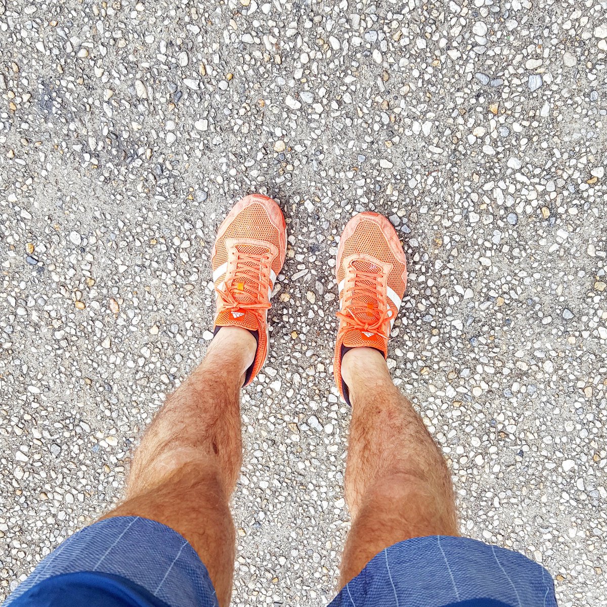 jouanito's tweet photo. Quand tu bats ton record sur un 10km paumé en Normandie (37'53). 🏆

#whyirunParis #whyirunSentier #TakeChargeParis #adidasRunners https://t.co/nXl66wJHq7