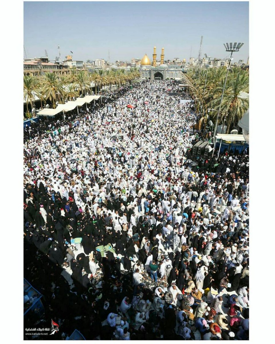 • ثُم ماذا ؟ -🏹.🌿' 
• ثم قلبي غص شوقًا لكربلآء 🌸'