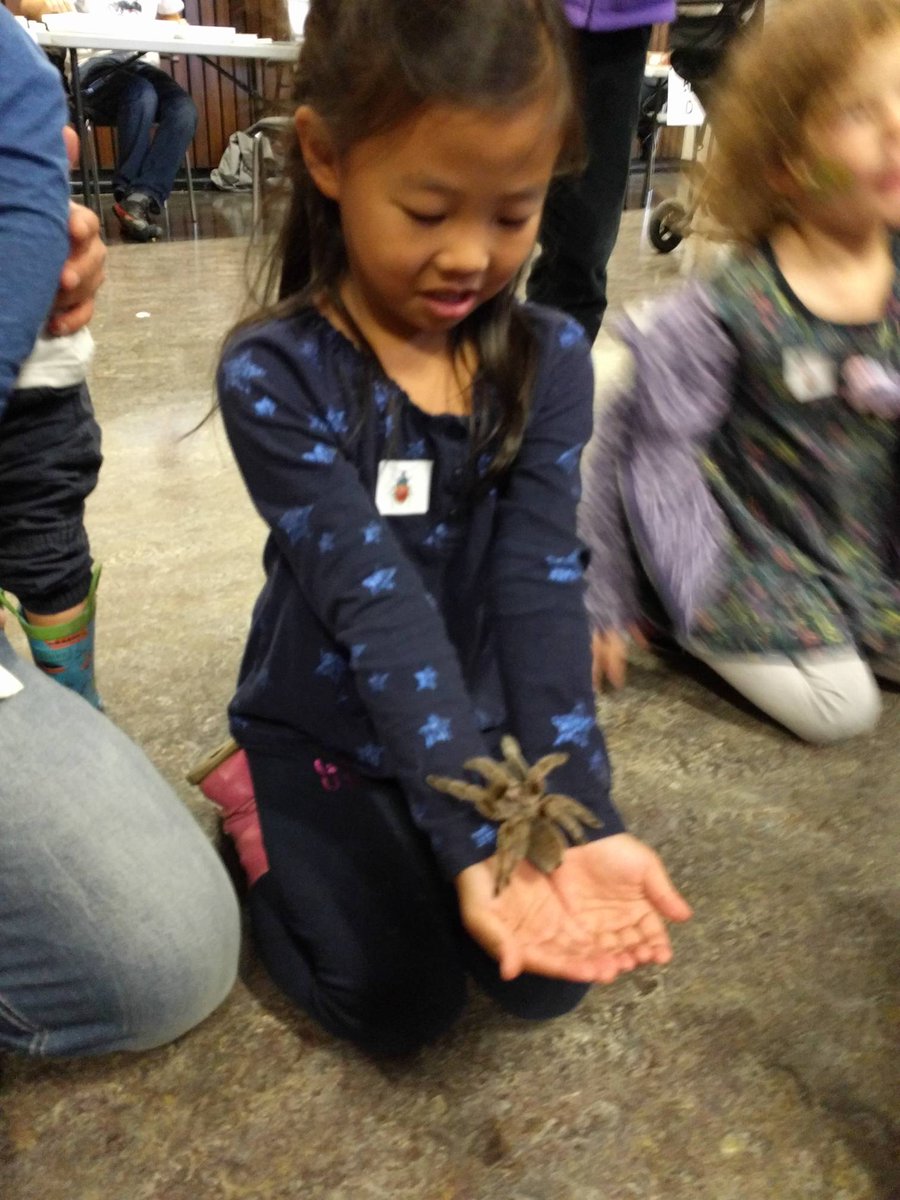 bugdayOttawa's tweet image. #bugday2017 come for the creepy-crawlies and join the insect tours!