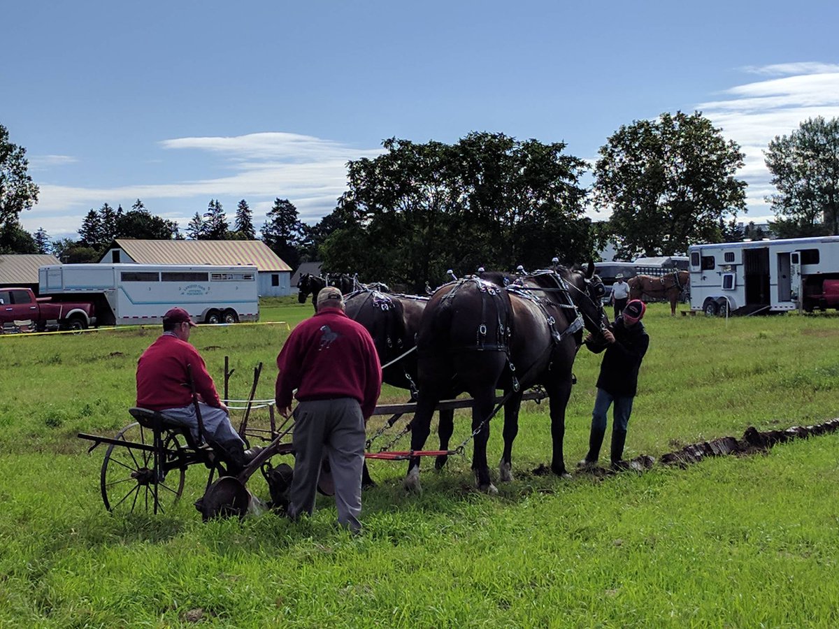 bugdayOttawa's tweet image. #bugday2017 come for the creepy-crawlies and join the insect tours!