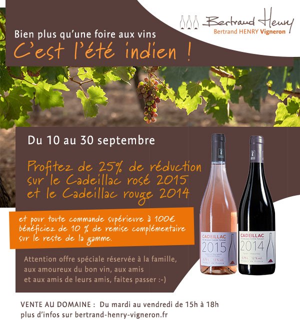 Vigneron31's tweet photo. L’été indien!  Bien plus qu’une #foireauxvins 
https://t.co/0zfkV9GpUw
#hautegaronne #vigneron #viticulture #vigne #volvestre #comminges https://t.co/gNL6dV1Rmg