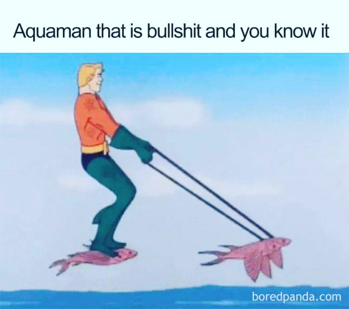 TheLyfeAquatic's tweet photo. Dude, come on.

#aquaman #bullshit #flyingfish #waves #ocean #underwater #scuba #dive #diving #diver #surf #surfing #surfer #surfergirl https://t.co/5r5xfGNc75