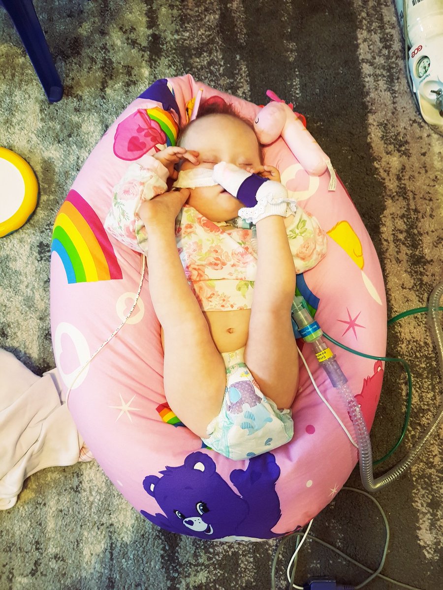 TeamMarlowe's tweet photo. How is this comfortable! ❤ #teammarlowe #havingasnooze https://t.co/mbBCxkyDBH