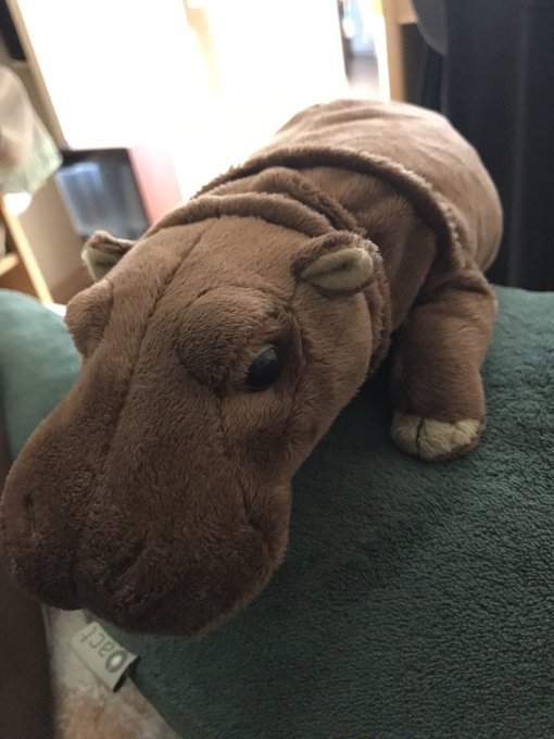 旭山動物園のお土産おすすめまとめ ぬいぐるみやお菓子など子供に人気 Travel Star