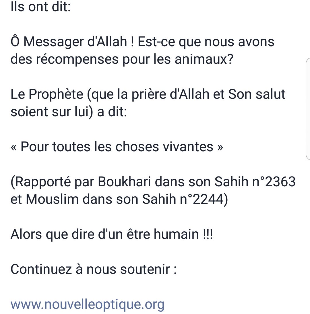 Nouvelleoptique's tweet photo. #puits #musulmans #nonMusulmans #aide #humanité #daawa
Une petite précision...
https://t.co/GVY9rYME4p Rt https://t.co/M4Dj13a6iL