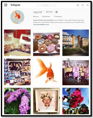 StayHOF's tweet photo. Follow us on @instagram - we promise to make you smile! We may even follow back!! Follow - StayHof #Instagram https://t.co/YtpYljT371 https://t.co/L3Xt8dsMhS