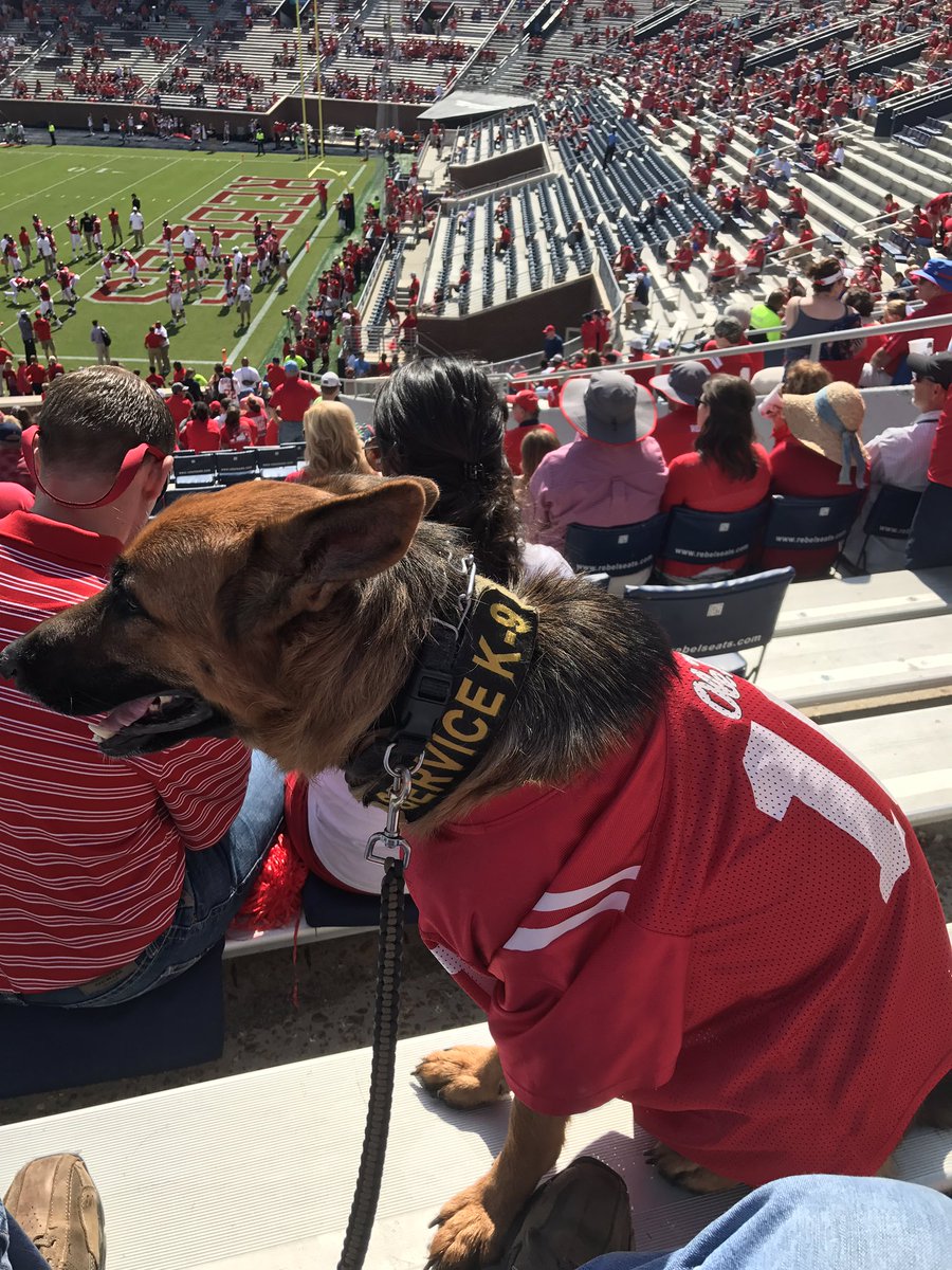 meadowlil43's tweet photo. #SDEllie ready for some @OleMissFB #HottyToddy #servicesdog @OleMissPix https://t.co/6eHq3M6tVN
