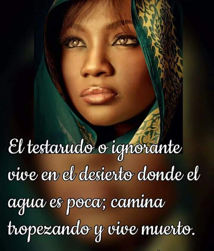 omo_thor's tweet photo. @YorubaMty @yorubafm_ @SMilagrosa @obatalaOfficial @Palomayombe21 @PALOMAYOMBEMEX @aguilapaco @82Yoruba @blancoduran @thalia @FernandaMferra  https://t.co/KHx4RYv6uK