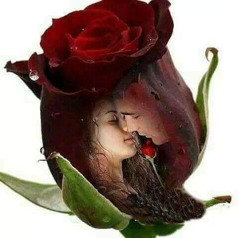 SabirArmani3's tweet photo. https://t.co/hrOt3nW0lR