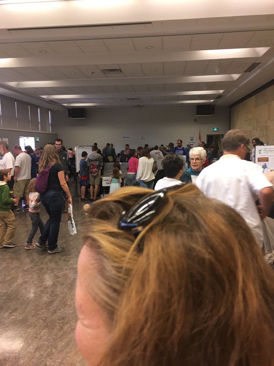 LeanderCampbell's tweet image. Inside looking at various bug displays. The wife trying a cricket cookie. #ewww 😉@bugdayOttawa
