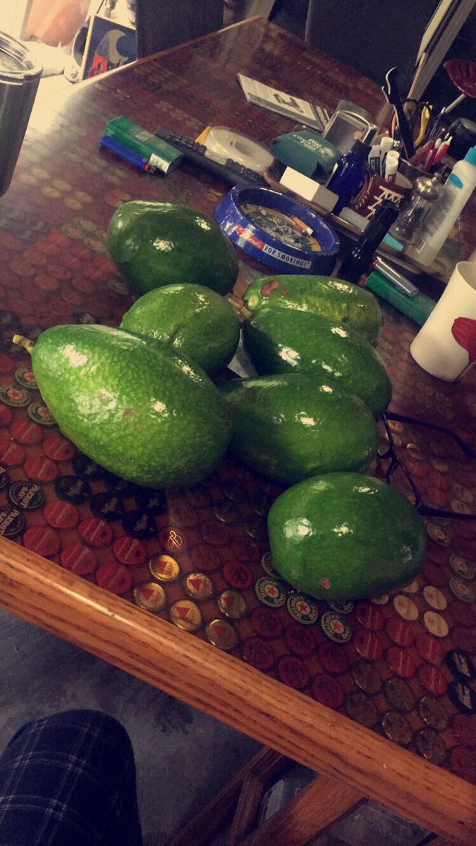 moonspectacles's tweet image. Stay calm fellow millennials, I got our avocados off the tree in the backyard. #HurricanIrma #avocados #Millennials