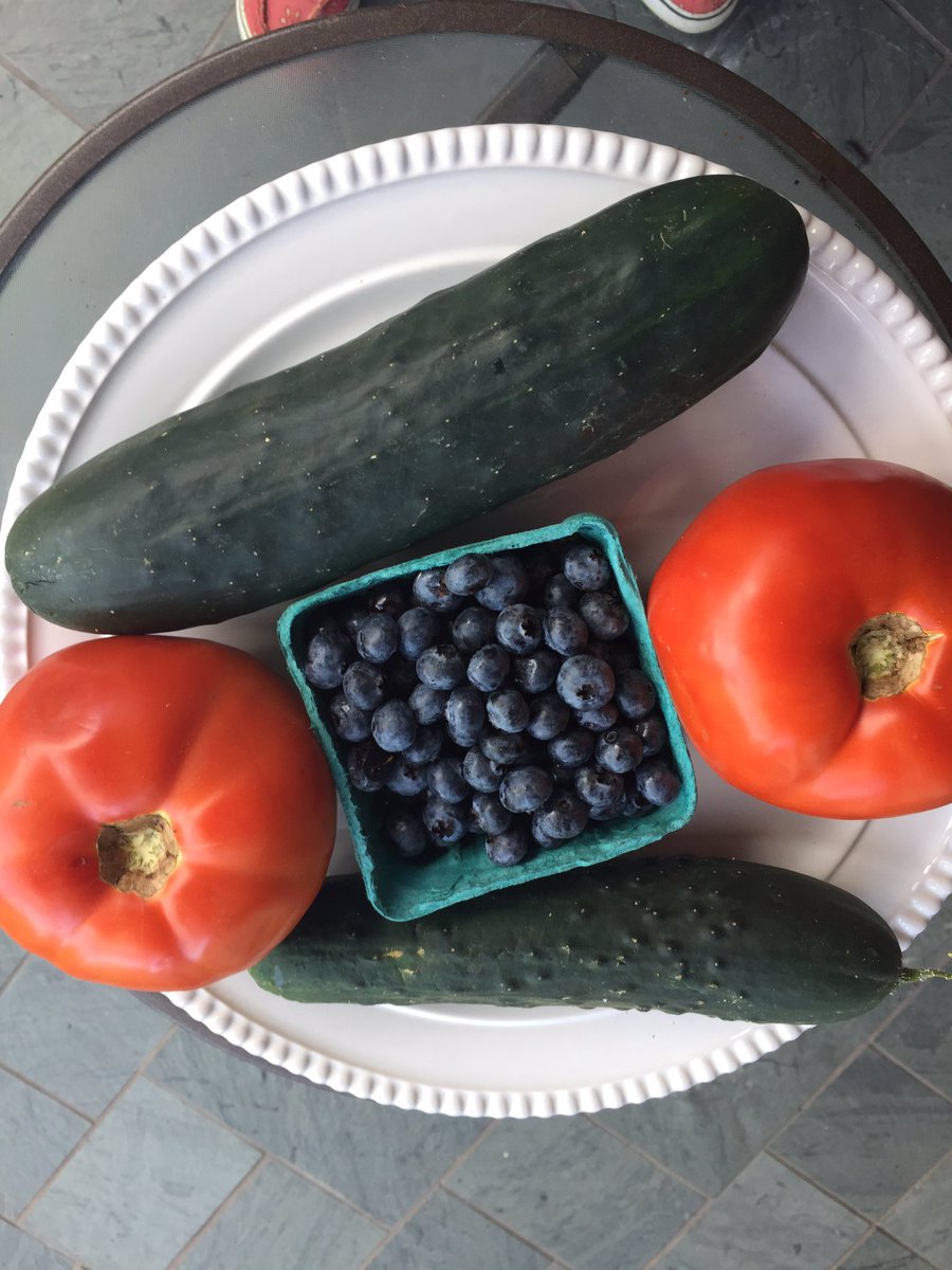 LibraryMTE's tweet photo. Hey @MiltonTerrace look at the #GoFoods Mrs. Rabideau &amp; I got at the Farmer's Market today! #respectforself #BSCSD https://t.co/DKyNiA7cL3