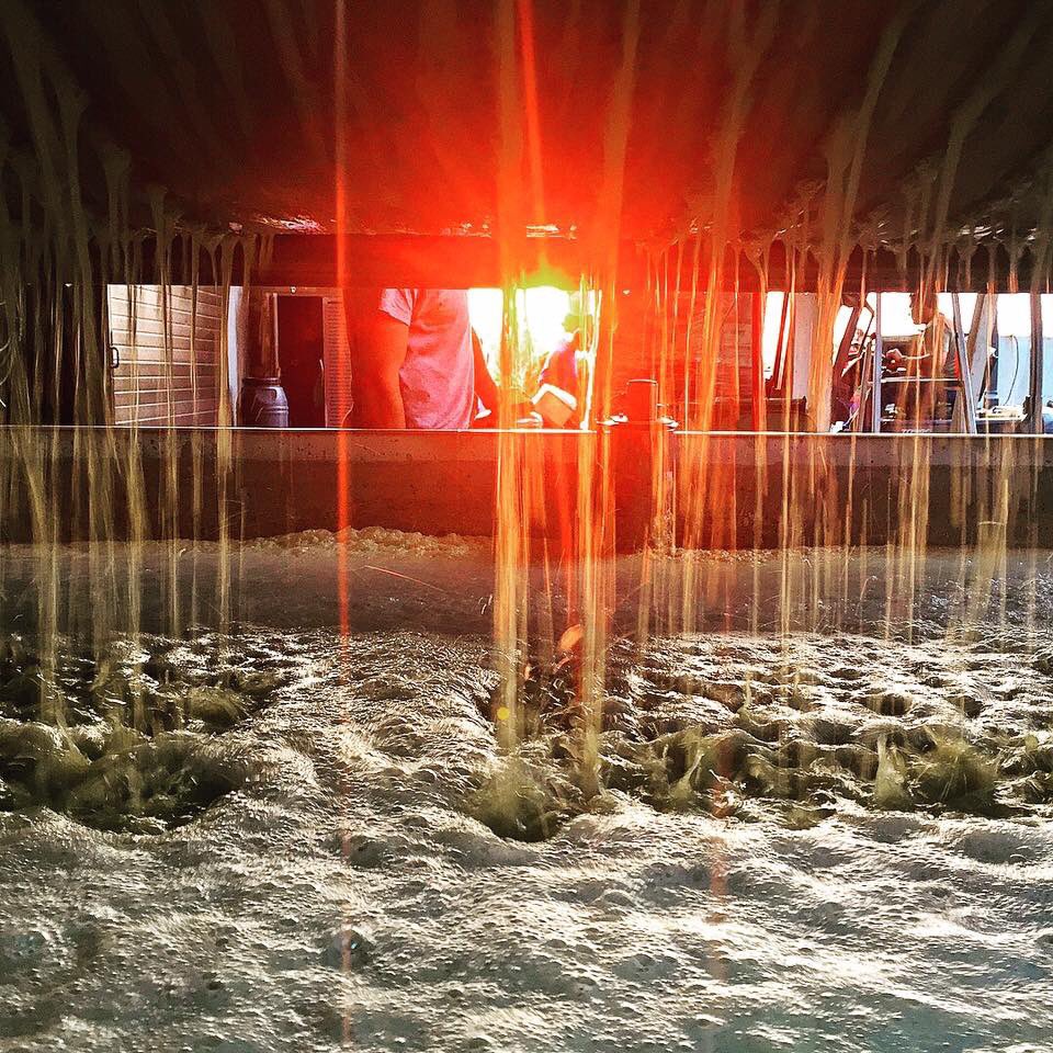 SrodeRubios's tweet photo. Postales de vendimia 3: prensado al atardecer!! #vendimia2017 #harvest17 #riasbaixas #galiciacalidade #condadotea #treixadura #loureiro https://t.co/IaaNAZ3DKN