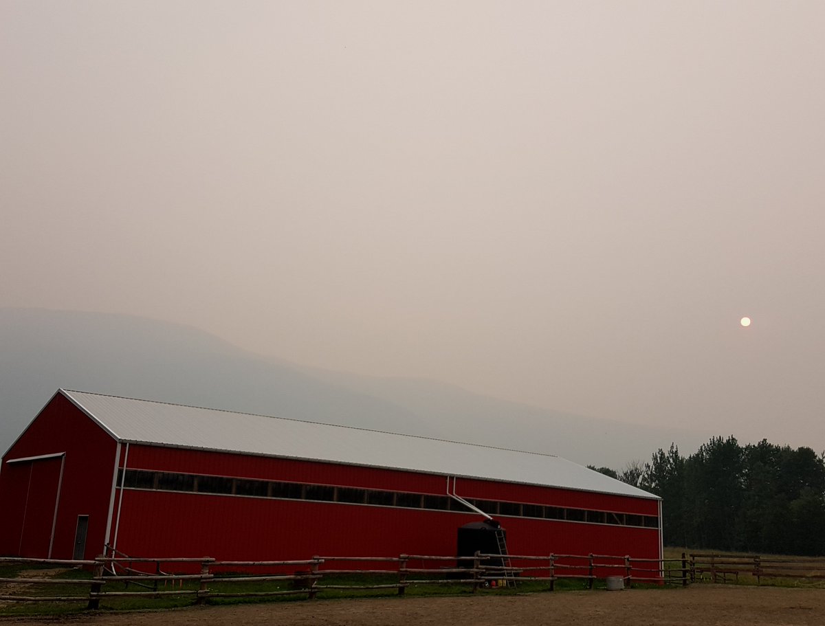 fsranch's tweet photo. #fallingstarranch #dunsterbc #mcbridebc #valemountbc #robsonvalley #canada #wildfires #bcwildfires #fireseason #smokeyday #redsun #ranchlife https://t.co/z0Aso9a1uu