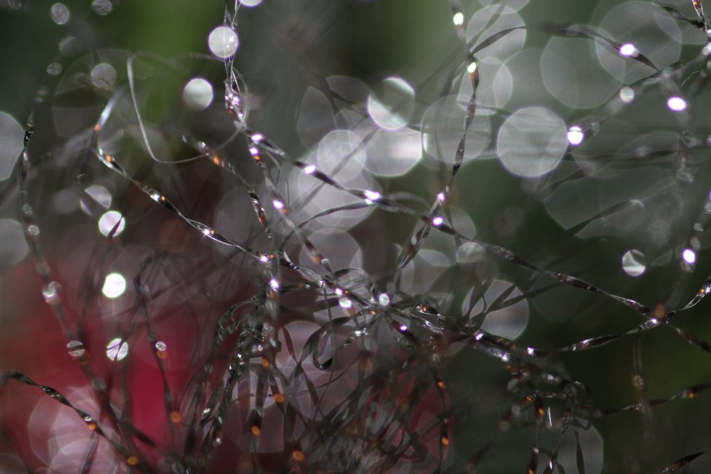 RBiddles's tweet image. What if? katherinebluebell.wordpress.com/2017/09/09/wha…