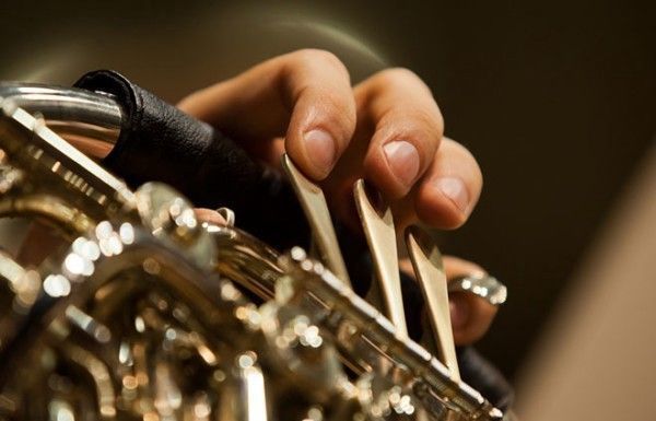 PartoftheMusic's tweet photo. #DidYouKnow? Trained musicians more efficiently switch from one mental task to another.
https://t.co/t5h8ibGaYU #mfacamp https://t.co/DO2cp5uMgk