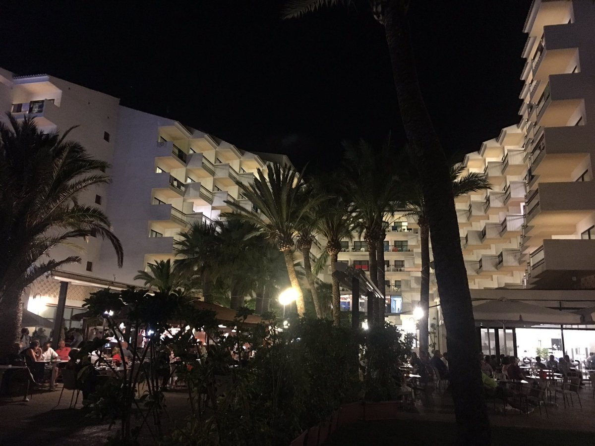 Francisco tweet media