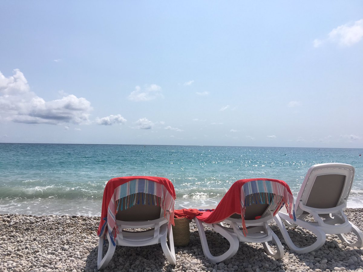 Francisco tweet media