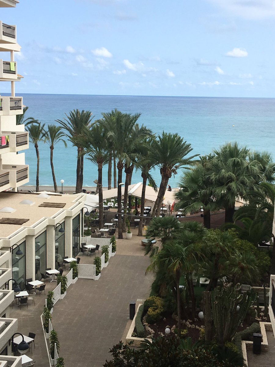 Francisco tweet media