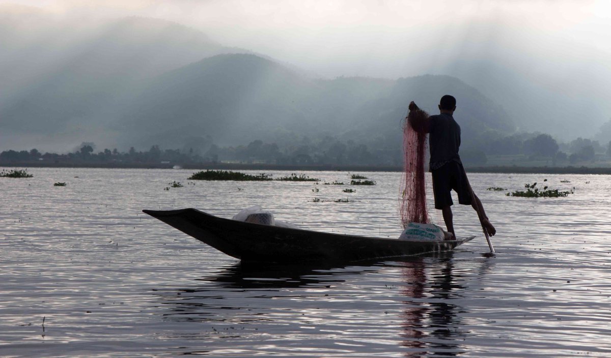 Sampan_Travel's tweet photo. Not Myanmar's largest lake, but perhaps its most beautiful. Inle, place of #Inthar and clamorous reed warblers.
https://t.co/zpwoBY25A5 https://t.co/Fv6kuZQpMk